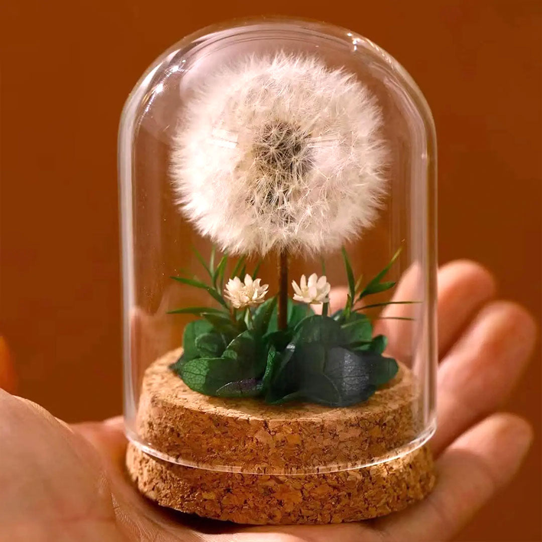 Eternal Dandelion Glass Dome