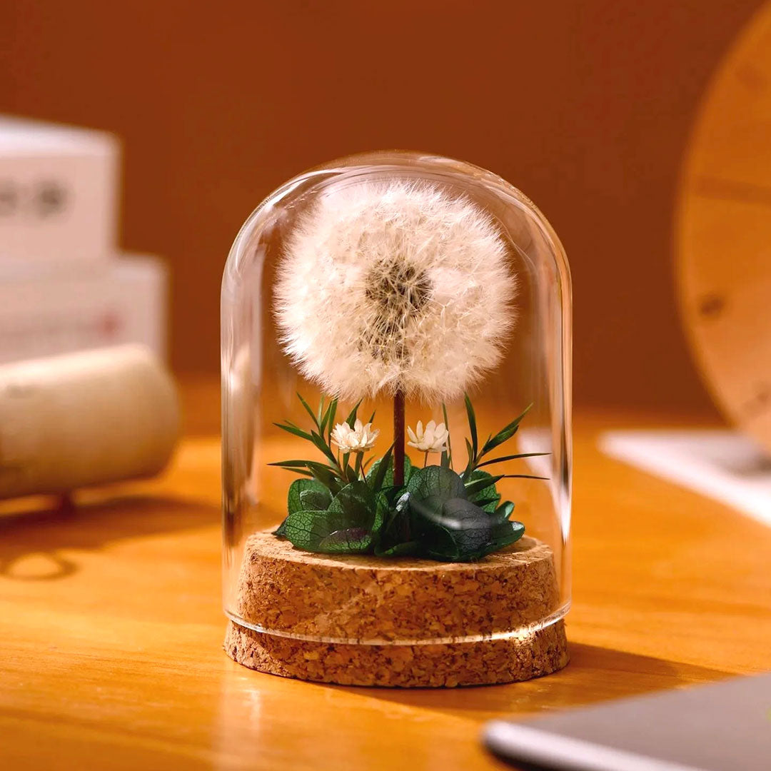 Eternal Dandelion Glass Dome